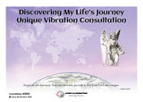 Unique Vibration Consultation - Discovering my Life's Journey (#5003 @AWK) - Living Illumination