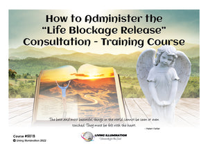 How to Administer the "Life Blockage Release” Consultation - Training Course (#501B @MAS) - Living Illumination