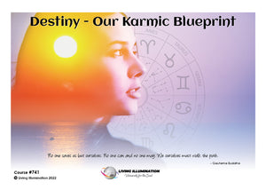 Destiny - Our Karmic Blueprint Course (#741 @PRO) - Living Illumination