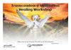 Transcendence Meditation Healing Workshop (#809 @AWK) - Living Illumination