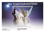 Our Transcendental State of Consciousness Course (#811 @INT) - Living Illumination