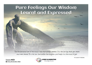 Pure Feelings: Our Wisdom Learned & Expressed Course (#820 @INT) - Living Illumination